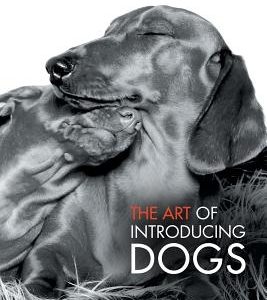 The Art of Introducing Dogs: A Guide for Conducting Dog-To-Dog Introductions