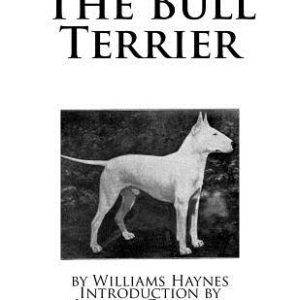 The Bull Terrier