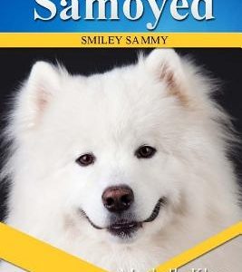 Samoyed