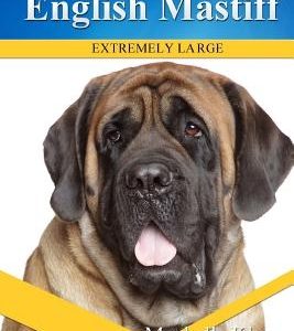 English Mastiff