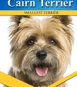 Cairn Terrier