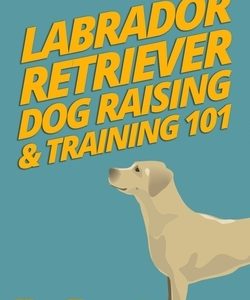 Labrador Retriever Dog Raising & Training 101