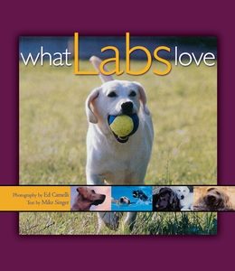 What Labs Love