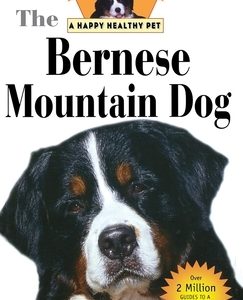 Bernese Mountain Dog: An Owner's Guide to a Happy Healthy Pet