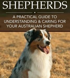 Australian Shepherds: A Practical Guide to Understanding & Caring for Your Australian Shepherd