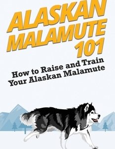 Alaskan Malamute 101: How to Raise and Train Your Alaskan Malamute