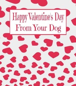 Happy Valentine's Day: From Your Dog