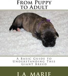 Irish Wolfhound From Puppy to Adult: A Basic Guide to Understanding This Giant Breed