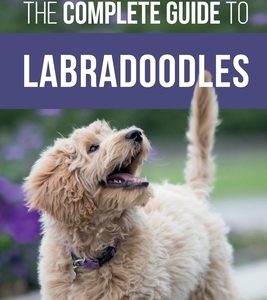 The Complete Guide to Labradoodles: Selecting, Training, Feeding, Raising, and Loving your new Labradoodle Puppy