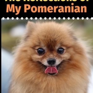 The Reflections of My Pomeranian: A Coloring Book