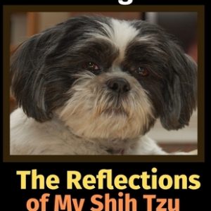 The Reflections of My Shih Tzu: A Coloring Book