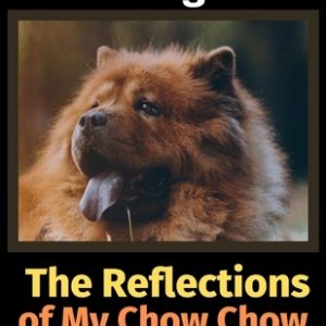 The Reflections of My Chow Chow: A Coloring Book