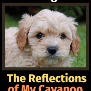 The Reflections of My Cavapoo: A Coloring Book
