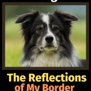 The Reflections of My Border Collie: A Coloring Book