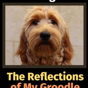 The Reflections of My Groodle: A Coloring Book