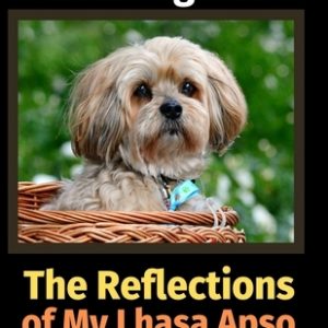 The Reflections of My Lhasa Apso: A Coloring Book