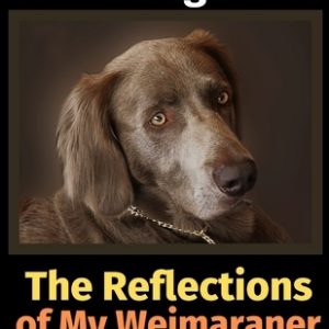 The Reflections of My Weimaraner: A Coloring Book