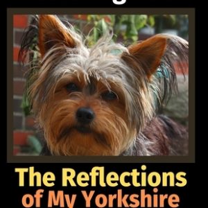 The Reflections of My Yorkshire Terrier: A Coloring Book