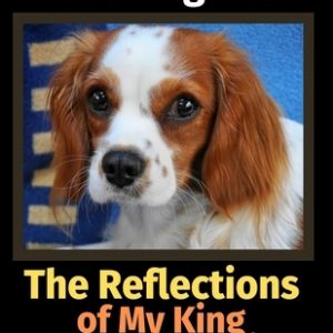 The Reflections of My King Charles Cavalier: A Coloring Book