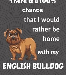 There is a 100% chance that I would rather be home with my English Bulldog: For small dog breed fans