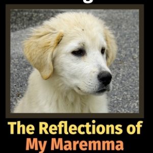 The Reflections of My Maremma Sheepdog: A Coloring Book