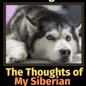 The Thoughts of My Siberian Husky: A Coloring Book