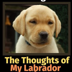 The Thoughts of My Labrador Retriever: A Coloring Book