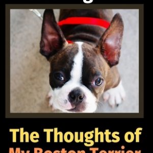 The Thoughts of My Boston Terrier: A Coloring Book