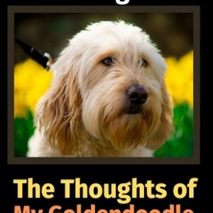 The Thoughts of My Goldendoodle: A Coloring Book