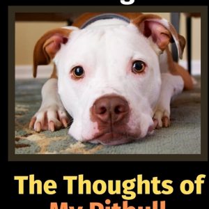 The Thoughts of My Pitbull: A Coloring Book