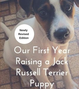 Our First Year Raising A Jack Russell Terrier (and then some)