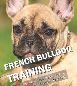 French Bulldog Training: All the Tips You Need for a Well-Trained French Bulldog