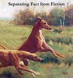 Canine Form Follows Function: Separating Fact from Fiction