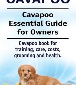 Cavapoo. Cavapoo Essential Guide for Owners. Cavapoo book for training, care, costs, grooming and health.