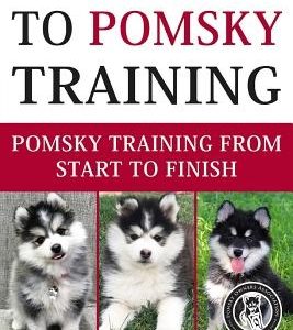The Complete Guide To Pomsky Training: Pomsky training from start to finish