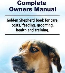 Golden Shepherd. Golden Shepherd Dog Complete Owners Manual. Golden Shepherd book for costs, care, grooming, feeding, training and health.