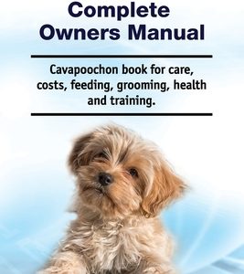 Cavapoochon Complete Owners Manual. Cavapoochon book for care, costs, feeding, grooming, health and training.