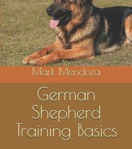 German Shepherd Training Basics