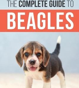 The Complete Guide to Beagles: Choosing, Housebreaking, Training, Feeding, and Loving Your New Beagle Puppy