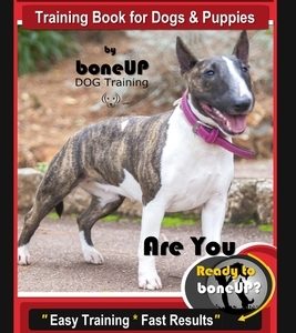 Miniature Bull Terrier Training Book for Dogs & Puppies By BoneUP DOG Training: Are You Ready to Bone Up? Easy Training * Fast Results Miniature Bull