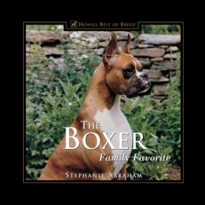The Boxer: Family Favorite