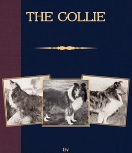 The Collie