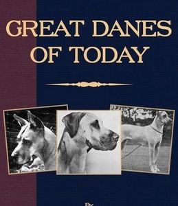 Great Danes of Today