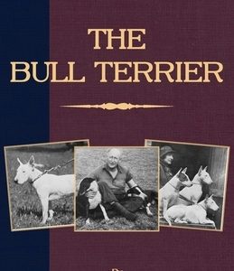The Bull Terrier