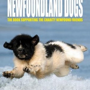 Those Amazing Newfoundland Dogs