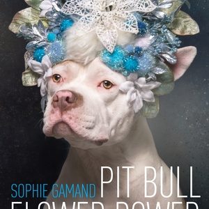 Pit Bull Flower Power