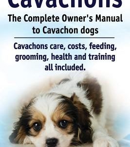 Cavachons. The Complete Owners Manual to Cavachon dogs: Cavachons care, costs, feeding, grooming, health and training all included.