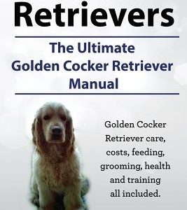 Golden Cocker Retrievers. the Ultimate Golden Cocker Retriever Manual. Golden Cocker Retriever Care, Costs, Feeding, Grooming, Health and Training All