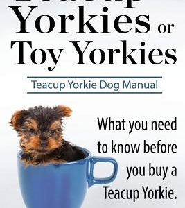 Teacup Yorkies or Toy Yorkies. Ultimate Teacup Yorkie Dog Manual. What You Need to Know Before You Buy a Teacup Yorkie or Toy Yorkie.