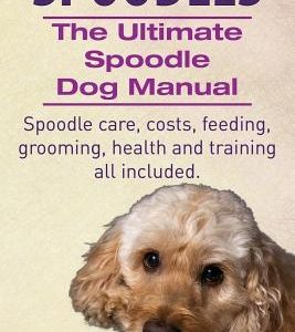 Spoodles. the Ultimate Spoodle Dog Manual. Spoodle Care, Costs, Feeding, Grooming, Health and Training All Included.